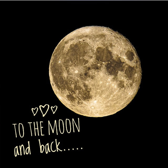 Fotomagneet to the moon and back