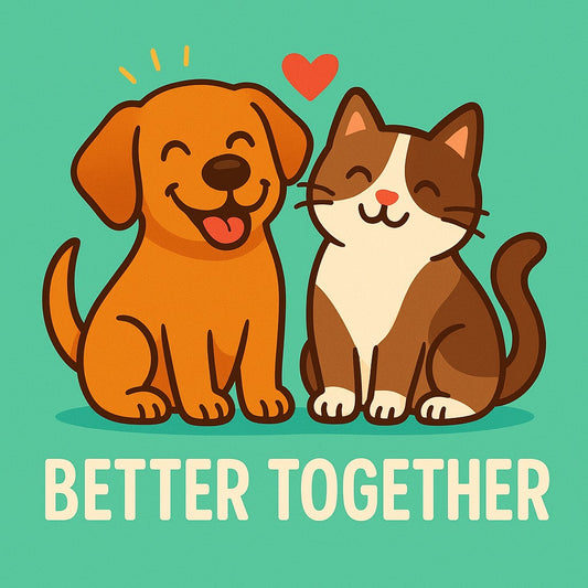 Fotomagneet better together