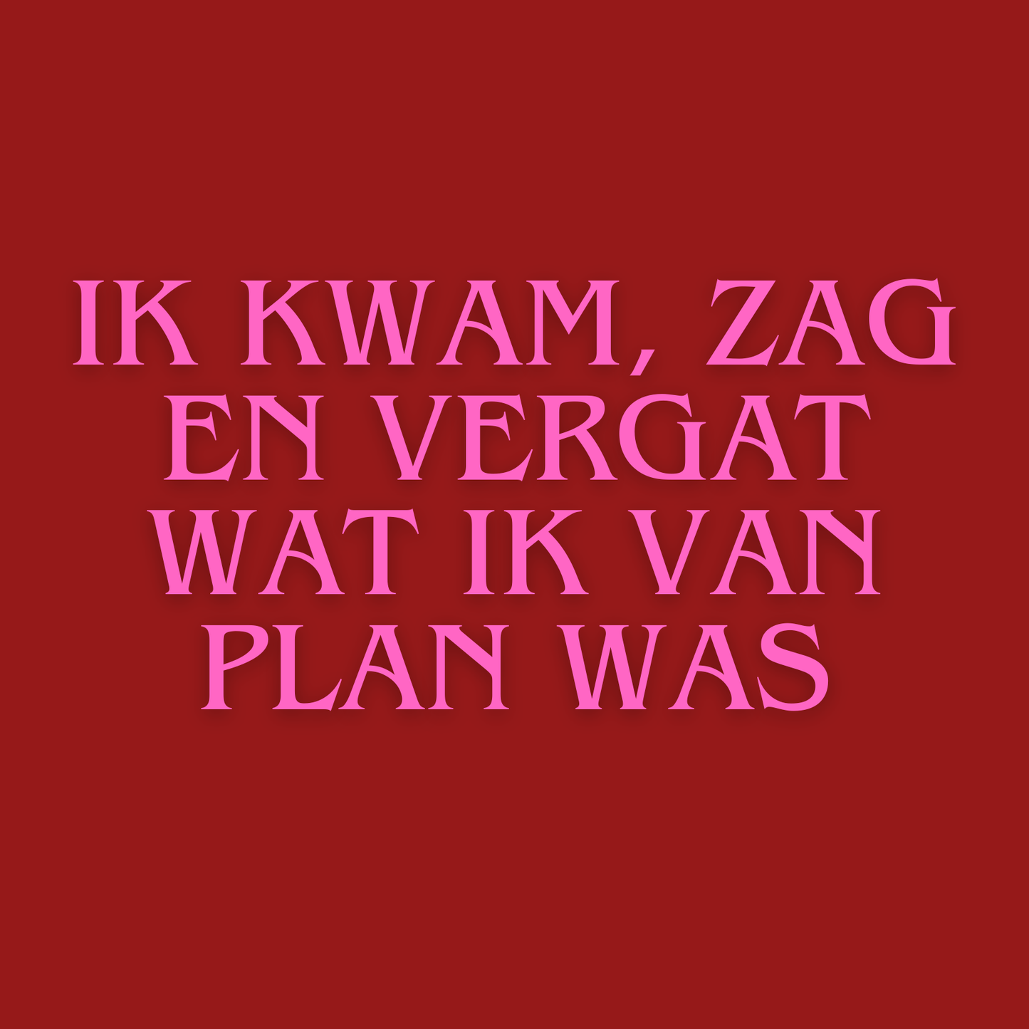Fotomagneet Ik kwam, zag en vergat wat ik van plan was